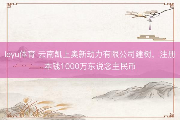 leyu体育 云南凯上奥新动力有限公司建树，注册本钱1000万东说念主民币
